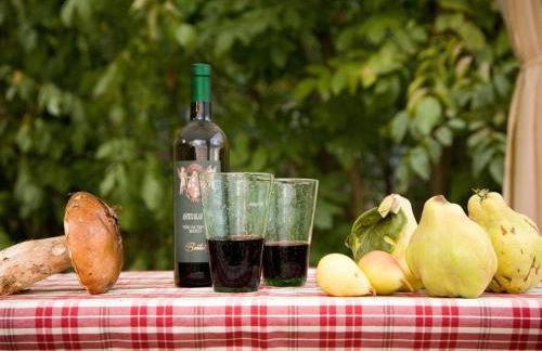 Apartment Wohnung in einer alten Villa mit Schwimmbad by Interhome - Foto 10