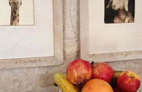 Trullo Bosco Libero Ostuni - Foto 15