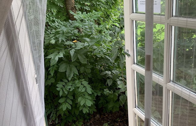 Bäddar & Ängar - Photo 42