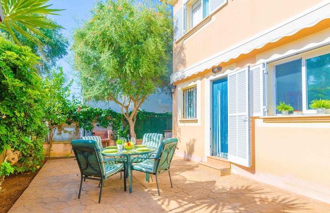 Bugambilia in Sa R Pita - Foto 5