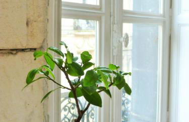 L'Appart D'Oli et Tiane - Foto 7