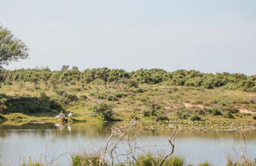 Gwydn Lodge - Photo 35