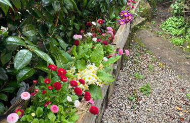 Bumble Bee Cottage - Photo 14