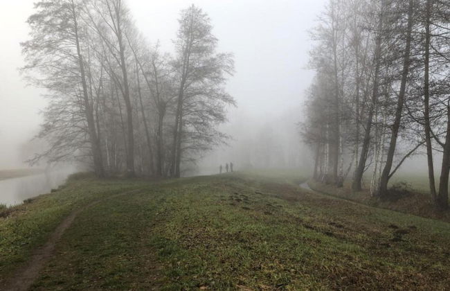 Waldblick Forest Retreat - Foto 35