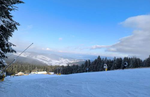 Ferienwohnung Maggie - Sankt Englmar - Foto 39