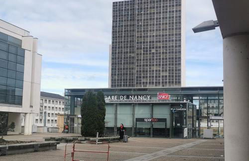 meublé du Plateau - Nancy centre Gare Tgv - Foto 20