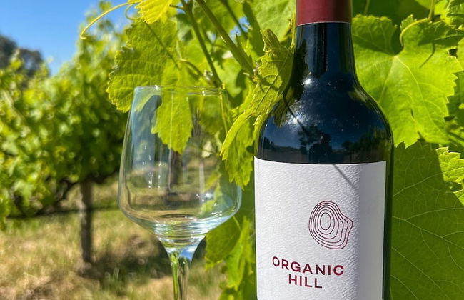 Mclaren Vale Vineyard Homestead - Foto 3