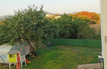 Platan Paradise - Foto 26