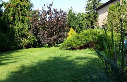 Kwiatowa Zagroda - Foto 3