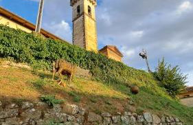 Casina di Alice - Foto 34