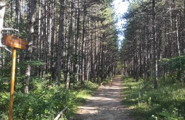 THE STONE HOUSE - Foto 29