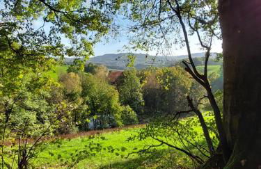 Gorxheimertal 92qm Allergikerfreundlich 2 Schlafzimmer 2 WC Terrasse - Foto 31