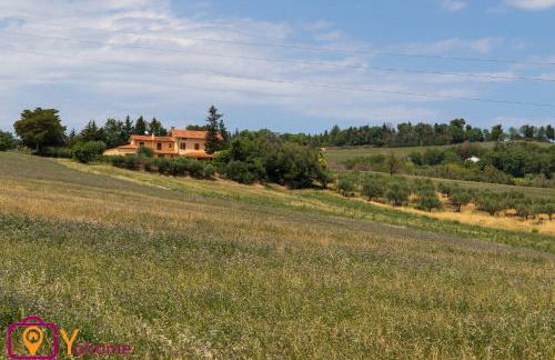 Leccino Home Piano Terra by Yohome - Foto 36