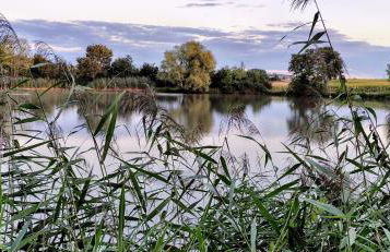 Ferienwohnung Kerstin Grambow - Foto 9