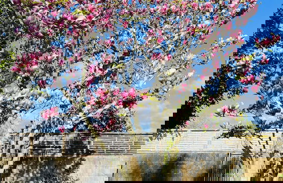 18th Avenue Thermal Motel - Photo 60