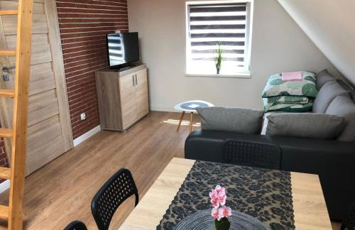 Domek na Mazurach Apartamenty nad jeziorem Warpuny - Foto 6