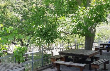 KONTOGIANNIS lihas club 2 - Photo 19