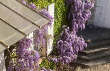 Le Gué Renard-un Balcon Sur La Charente - Foto 15