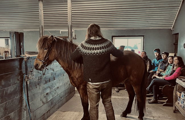 Sleeping with the Horses - Foto 17