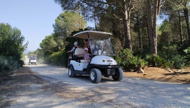 Dirigindo pelo parque