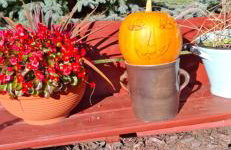 Chata drewniana Stefanówka - Foto 66