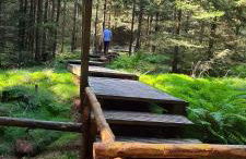 Haus Kellerwald - Ferienwohnung Kellerwald-Edersee - Foto 16