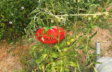 Gîte des Graves de Lilou - Foto 26