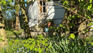 Reethaus Rosengarten Rügen gegenüber Hiddensee - Whg Strauchrose im DG - Foto 4