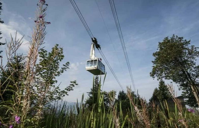 Excursão ao monte Rigi - Foto 3