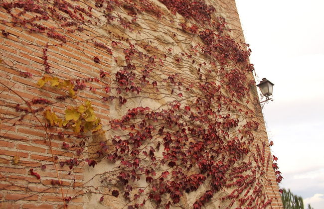 Casa Rural Rincón de la Fuente - Foto 38