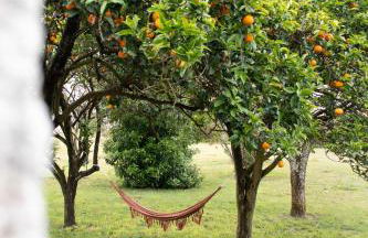 Quintal Country Houses - Foto 38