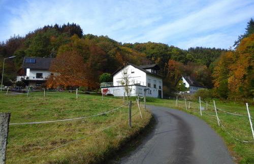 Ferienwohnung Klein am Natursteig Sieg - Foto 16
