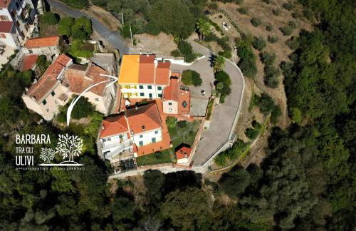 Barbara tra gli Ulivi - Foto 35