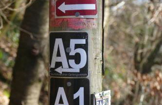 Ferienwohnung Hüppelröttchen - Foto 31