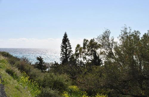 Chouzourakis Studios - Foto 47