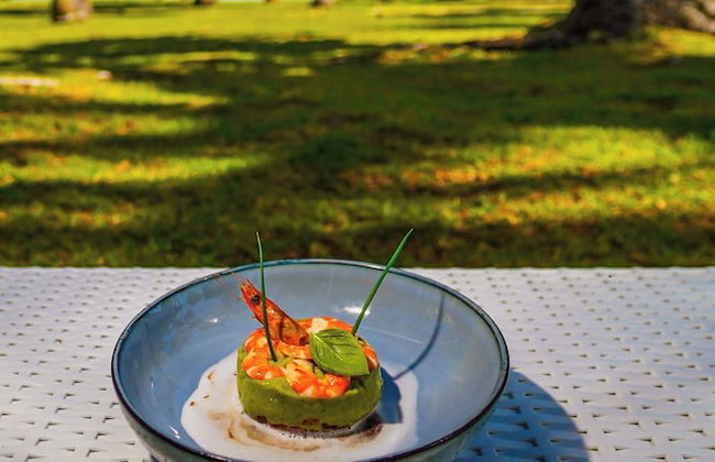 Motu Fara Private Island - Photo 46