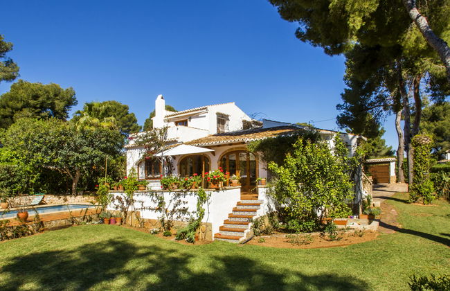 Mirlo Canta - Foto 35