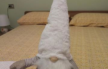 Bernina Express Apartment Il cuore di Lara e Stefy - Foto 7