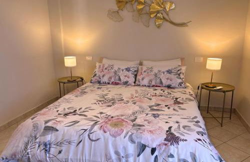 Clorofilla - Foto 17