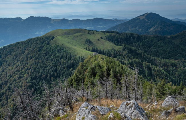The Cabin At St. Donat's - Foto 9