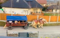 Chata pod strzechą w Beskidach - Foto 48