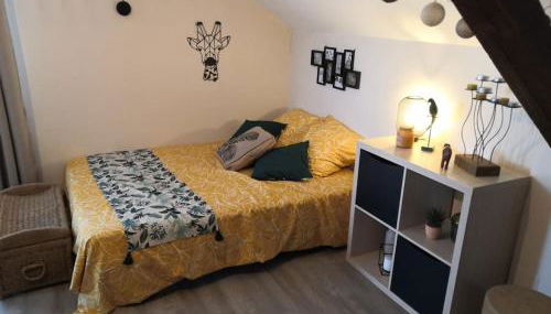 Studio proche zoo de la Flèche - Foto 2