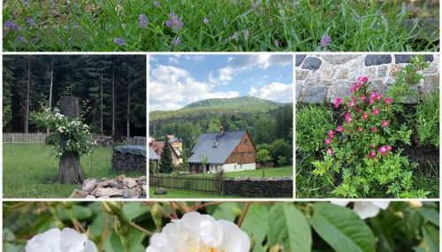 Am Waldessaum - Photo 3