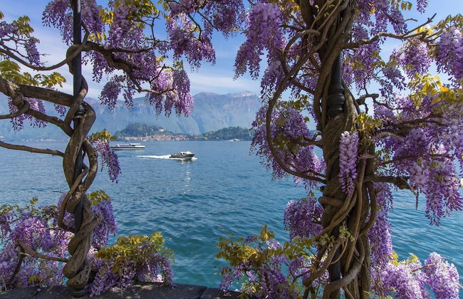 Villa Margherita Grande - Foto 28