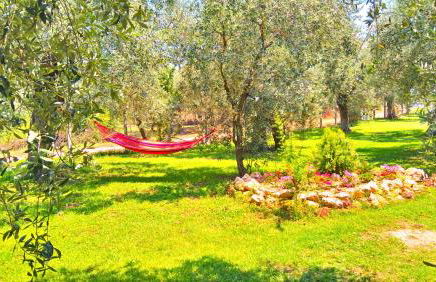 Sunray Separate Villa - Photo 10