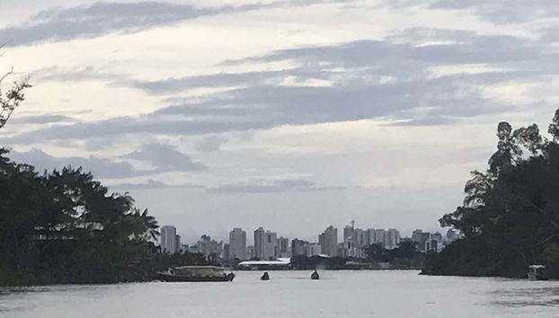 Vistas desde el río Guamá