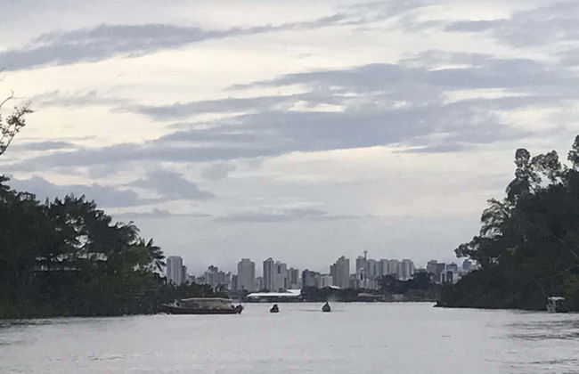Paseo en barco por la isla de Combú - Foto 3