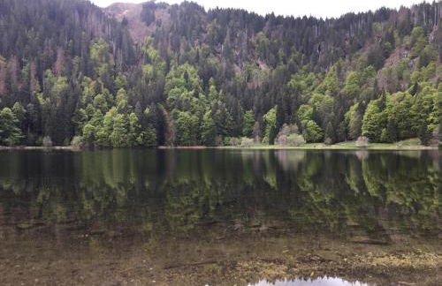 Haus am Scheibenfelsen - Foto 24