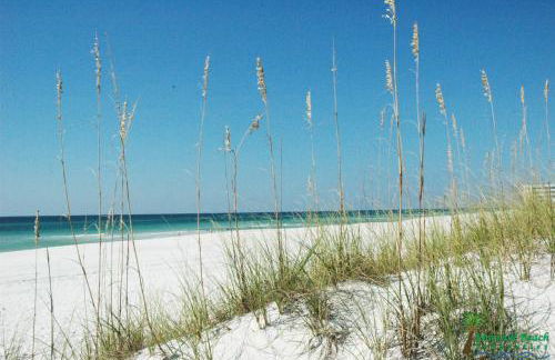 Sunbird 1104E 'Flamingo Palms' - Foto 40