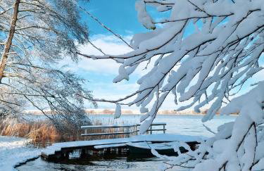 Bobrowa Ostoja - Photo 53